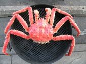 King crab on the gril