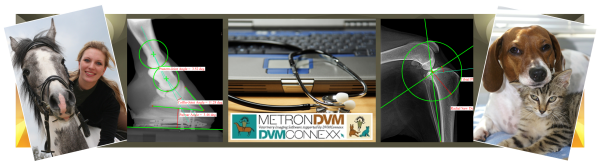 Metron News Welcome