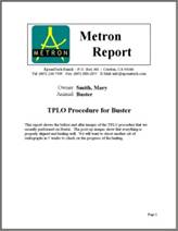 Metron Report