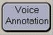 Voice Annotation button