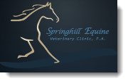 Springhill Equine