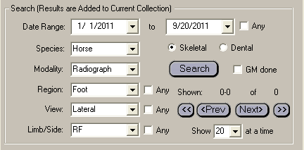 Collections Equine