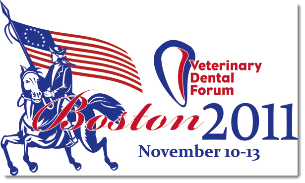 VDF Convention Logo
