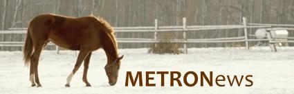 MetronNews_Winter