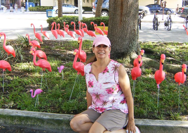 kalika with flamingo flock in st. pete