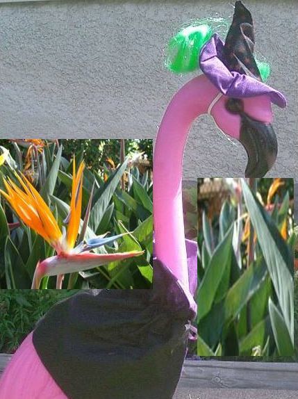 flamingo dressed up for halloween