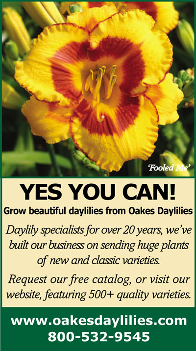 Oakes Daylilies