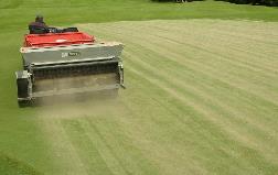 Topdressing as a cover for winter greens