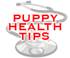 pup.health.tips.