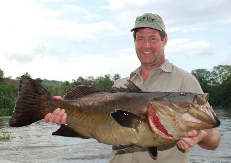 Big grouper caught in the Osa Peninsula