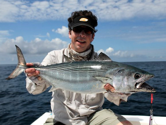 Nice Albacore Tuna Caught Near Cano Island
