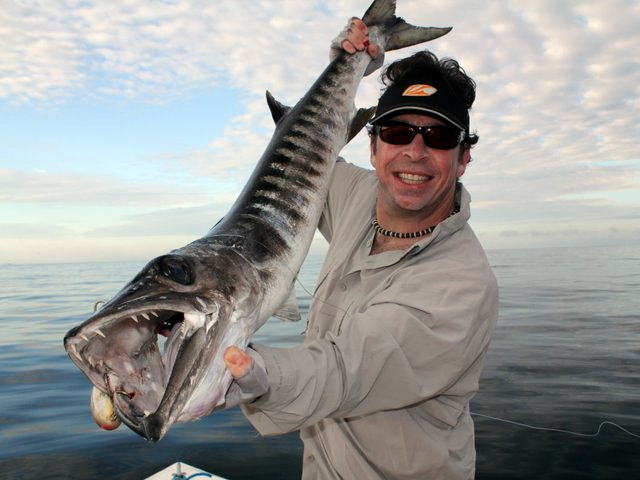 Big Barracuda Caught on a Topwater Popper