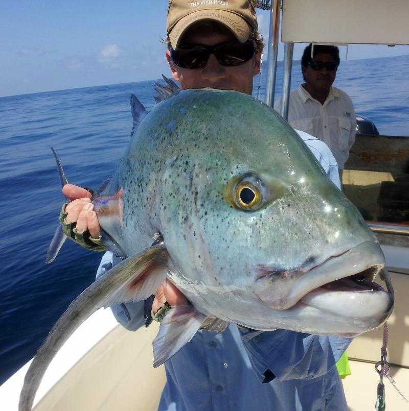Big blue trevally caught on a jig