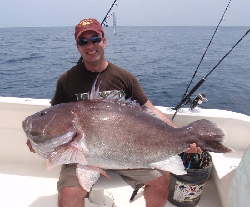 70 lb. black grouper
