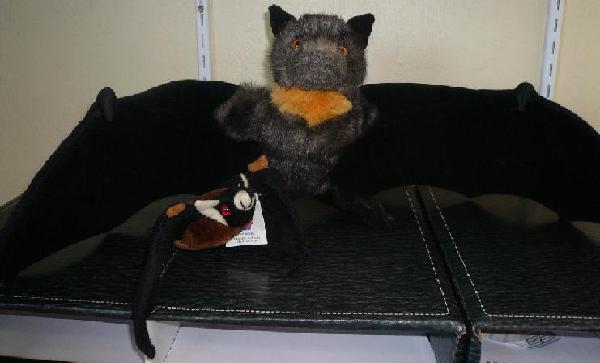Large and Small Plush Bats