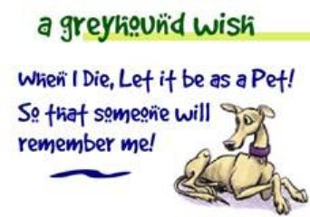 Greyhound Wish