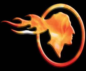 TIP Fire Head Logo