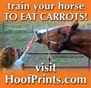 Carrot ad