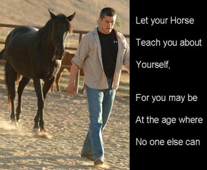 Horse Teach