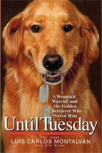 Until Tuesday cover
