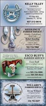 farrier business cards