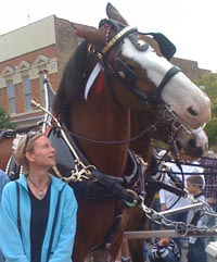 Gina Keesling with Clydesdale