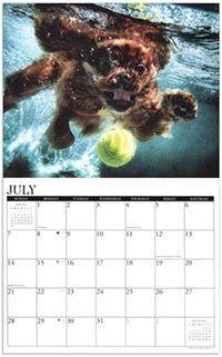 Underwater dogs calendar