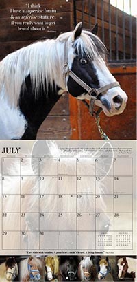 Horses and Hope July