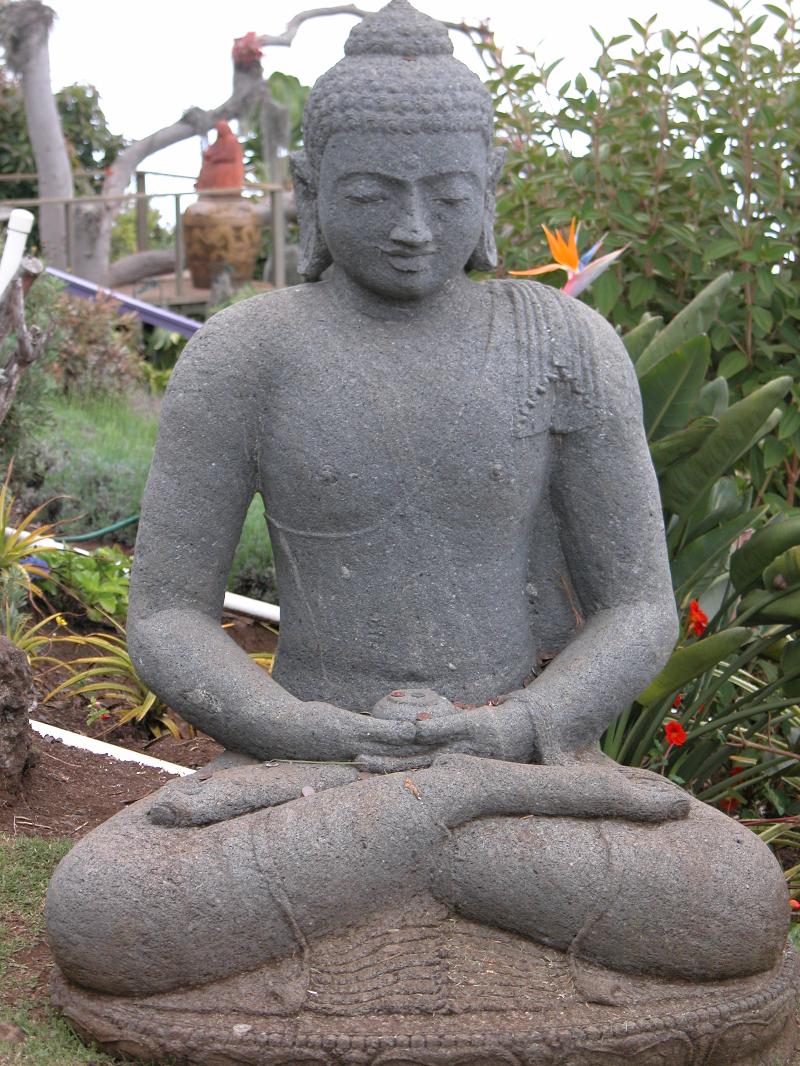 buddha hawaii