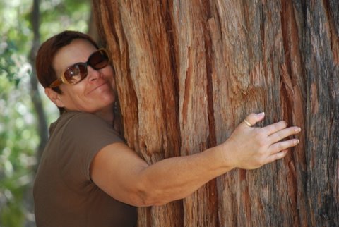 MaryFay tree hugger