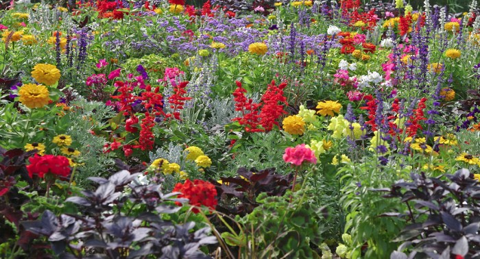 Best Annual Flower Bed - People's Choice