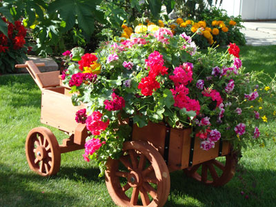 Best Planter Bed - People's Choice