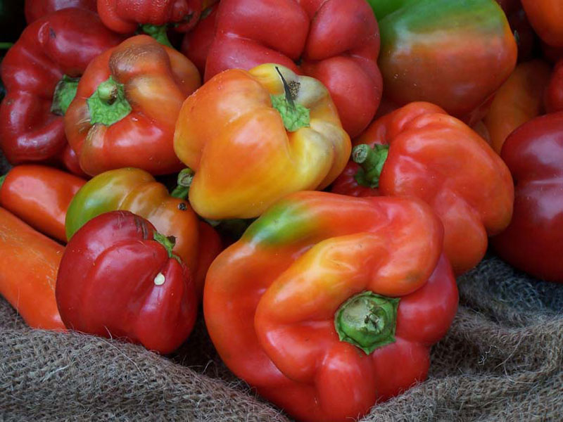 Bell Peppers by Tim Sakton (flickr)
