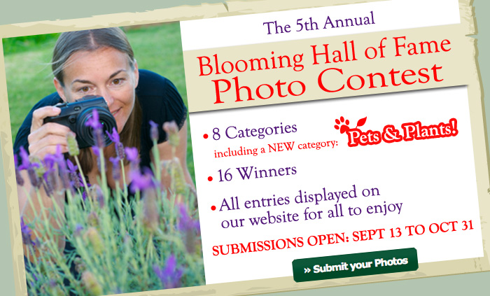 Blooming Hall of Fame 5th Annual Contest