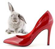 Red stiletto with rabbit nearby