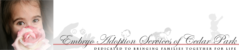 web site Banner Sherry made