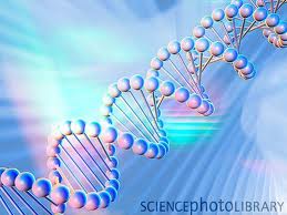 DNA strand image