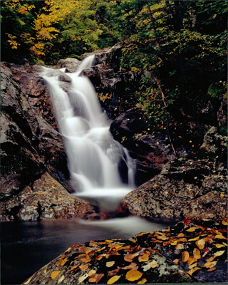 Falls on Thompson Brook by Gary Thompson
