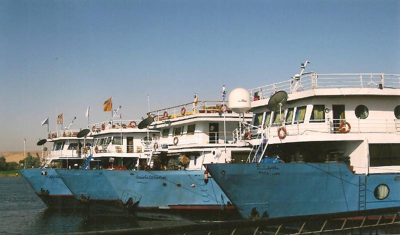 Cruise ship gam in Egypt