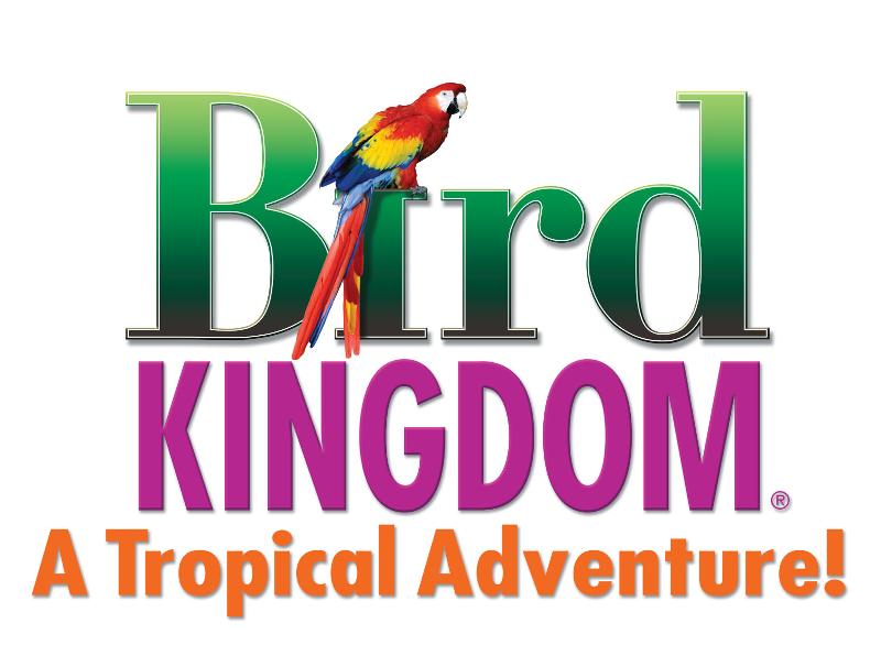 Bird kingdom