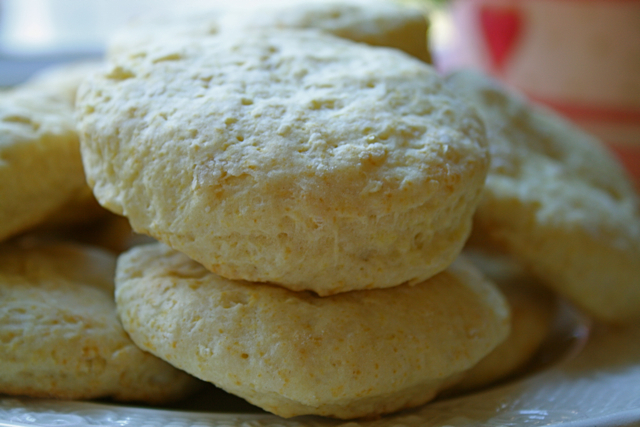Mimosa Biscuit