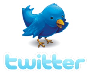 Twitter with Bird