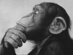 monkey thinker