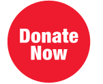 donate now button
