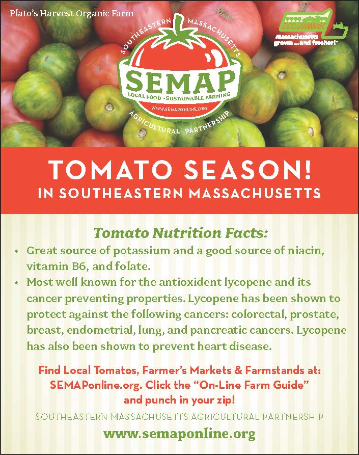 Tomato Nutrition Card