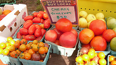 Brix_market_tomatoes