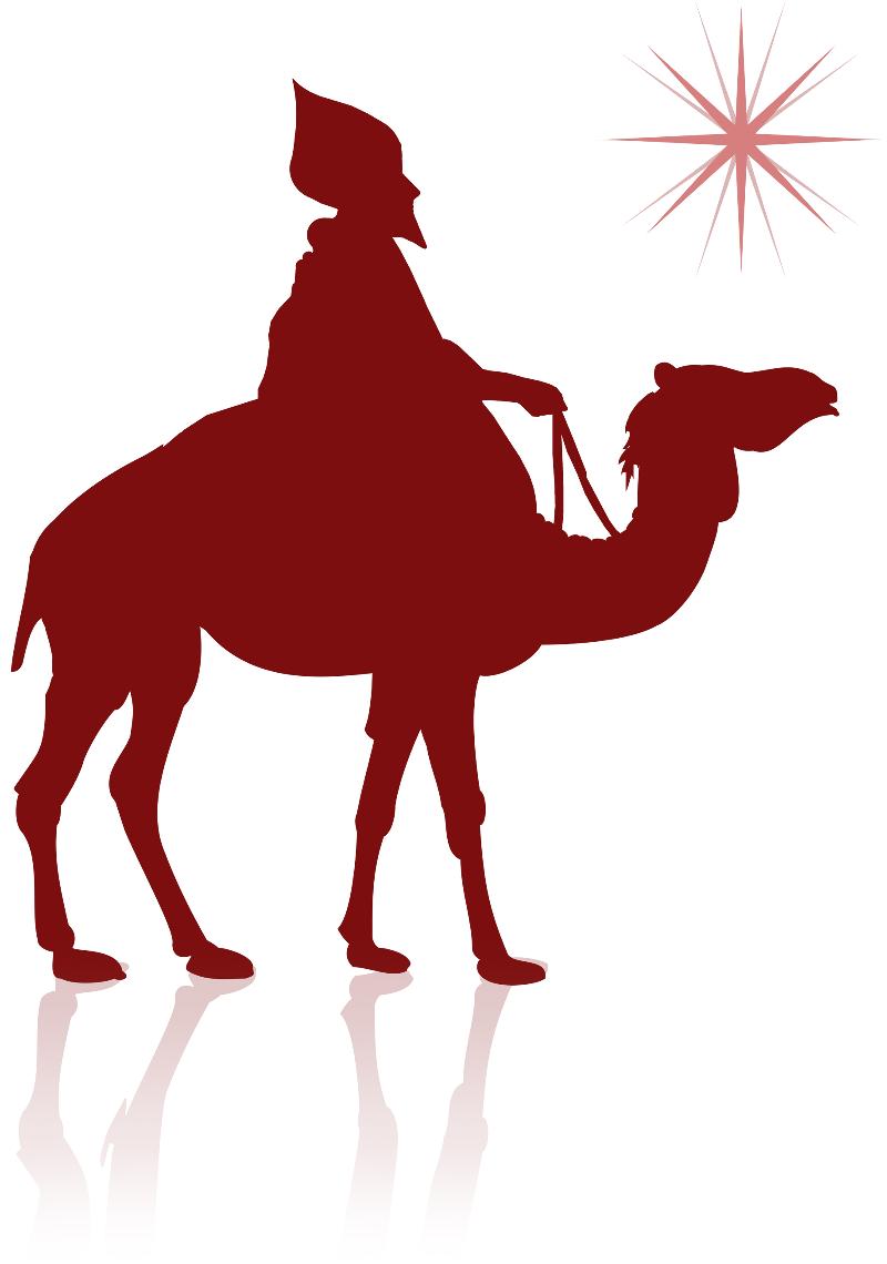Wise Man on Camel