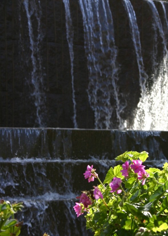 Water feature and flower