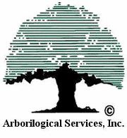 arborilogicallogo