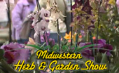 Midwest Herb show